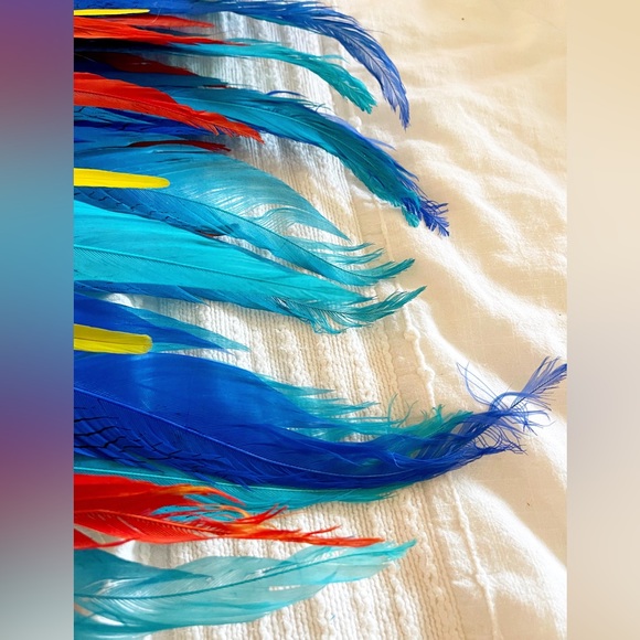 WBFF FMG Phoneix Themewear Costume Couture Bikini - Picture 14 of 14